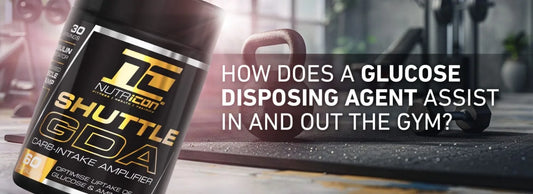 How a Glucose Disposal Agent (GDA) Assists Users In and Out of the Gym